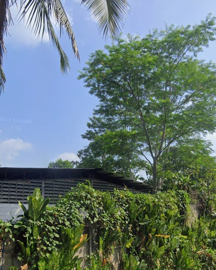 Charcoalnesia Location Photo 1
