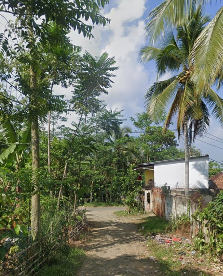 Charcoalnesia Location Photo 2