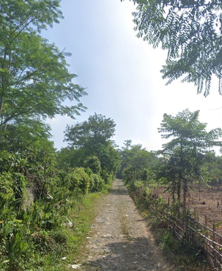Charcoalnesia Location Photo 4
