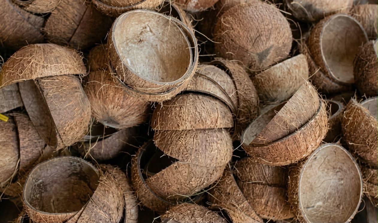 Raw Material Selection