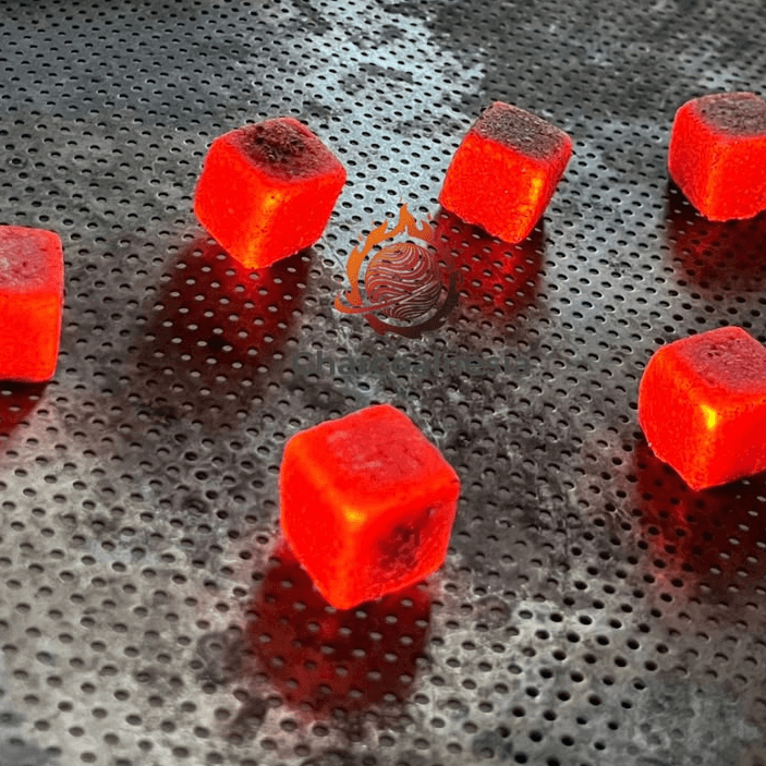 Burn Test 2